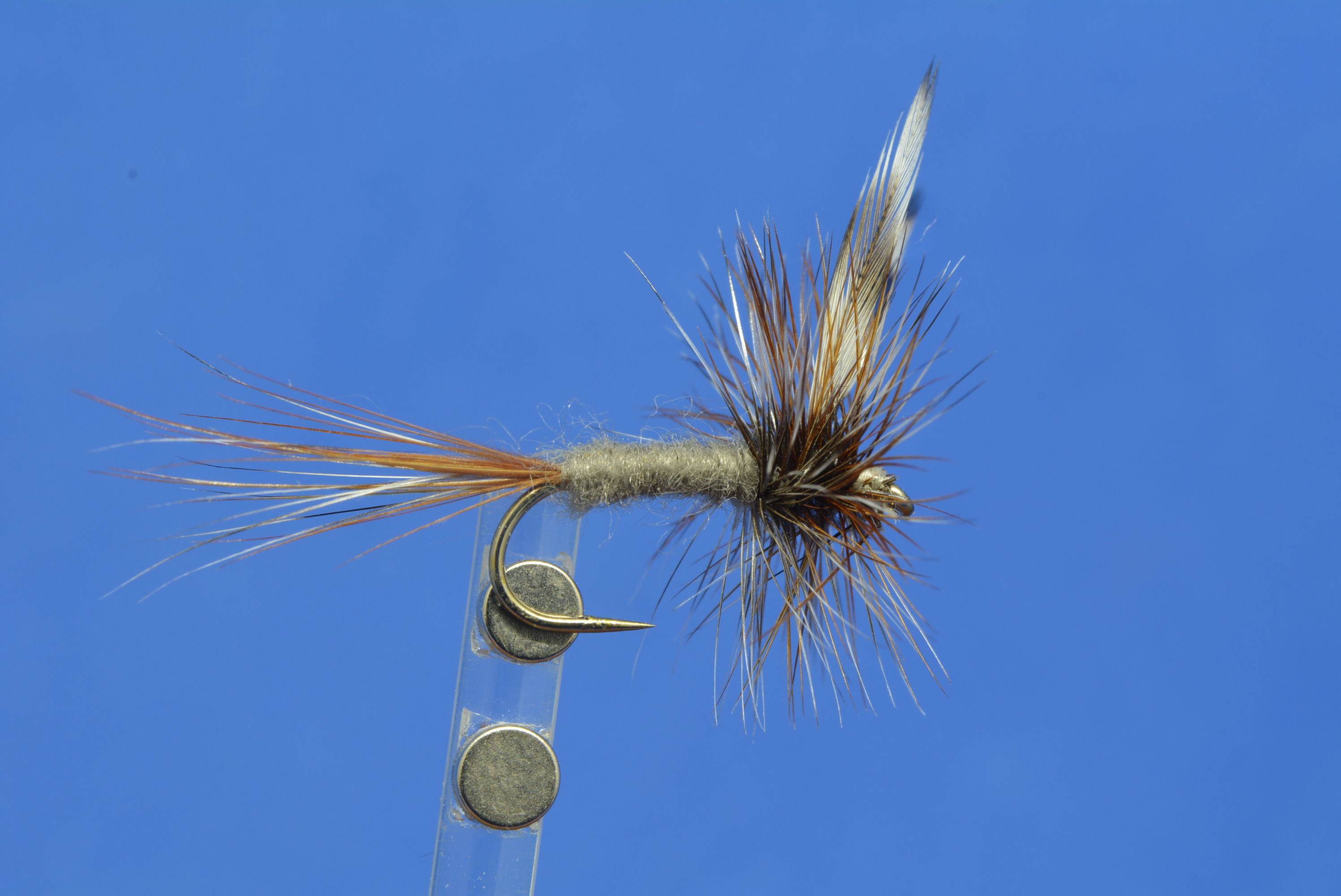 DSC_0149.JPG
