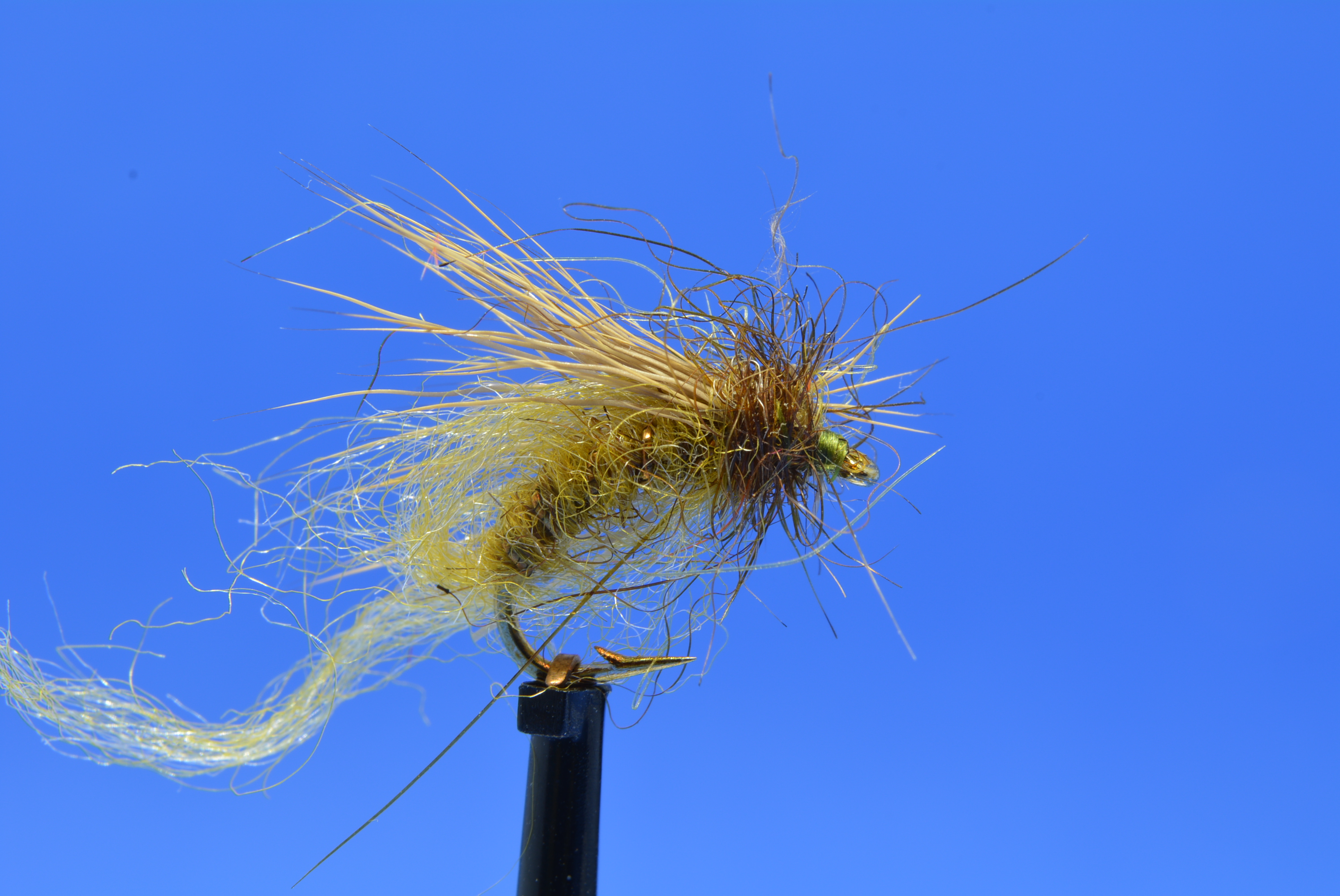 DSC_0034.JPG