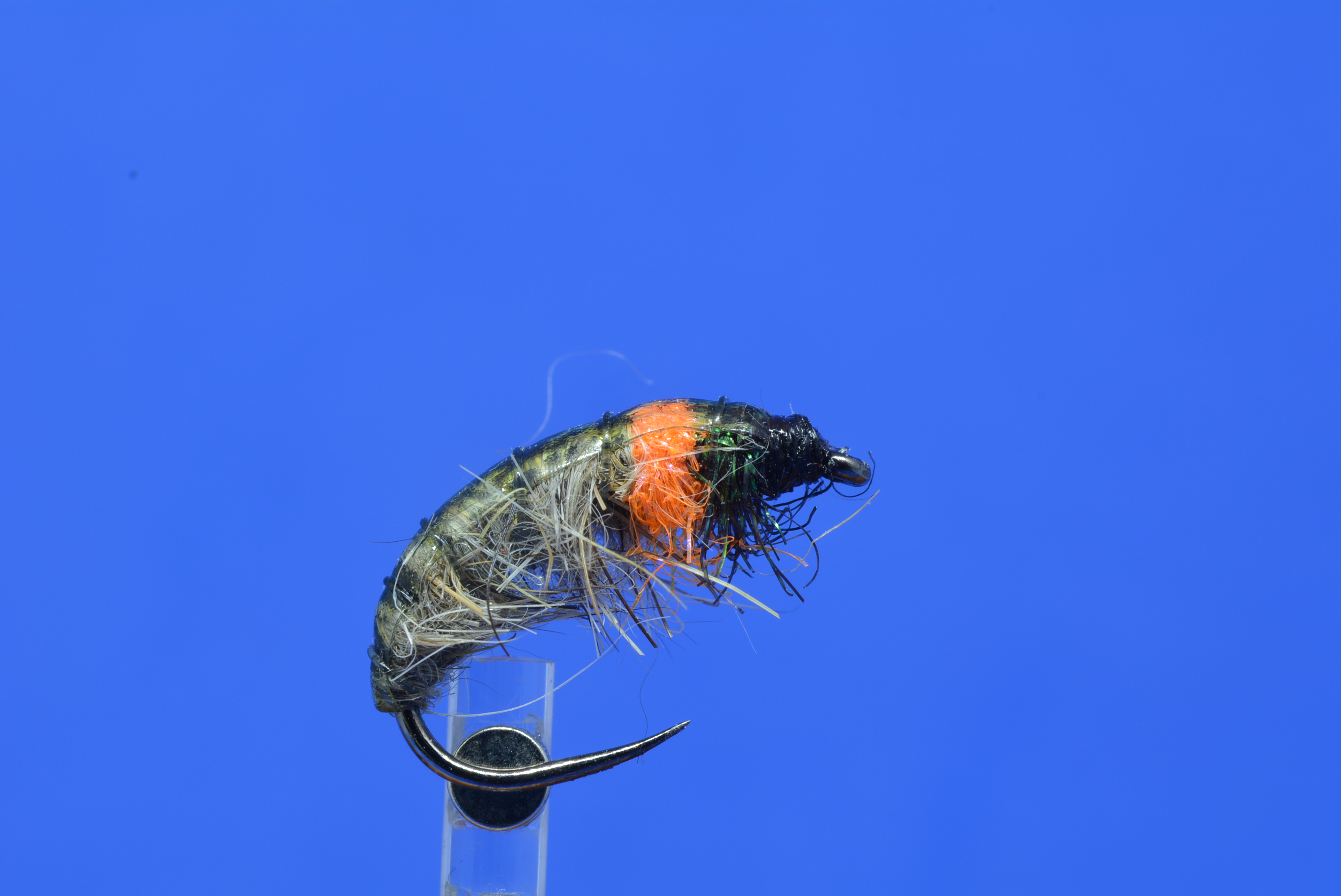 DSC_0093.JPG