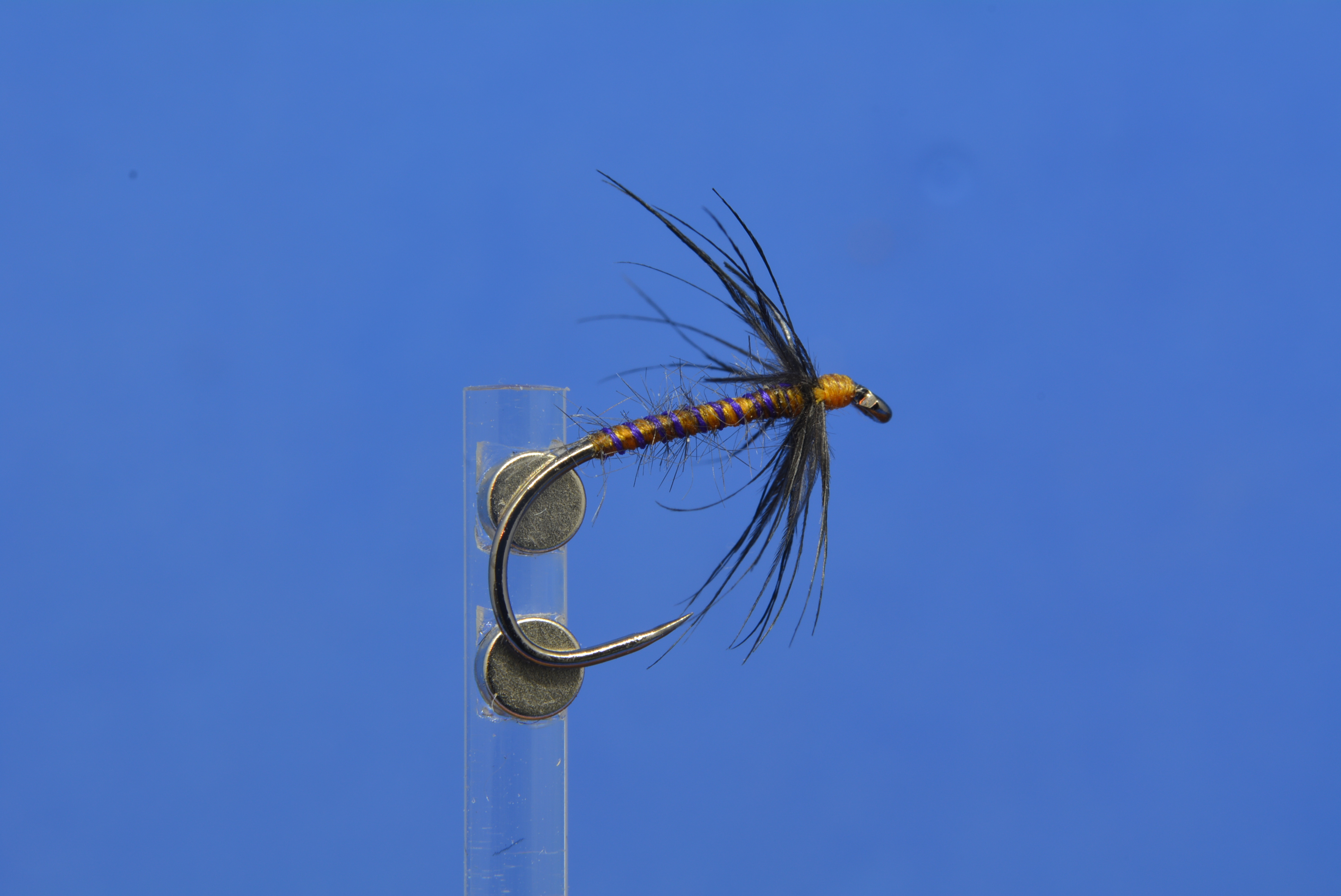 DSC_0121.JPG
