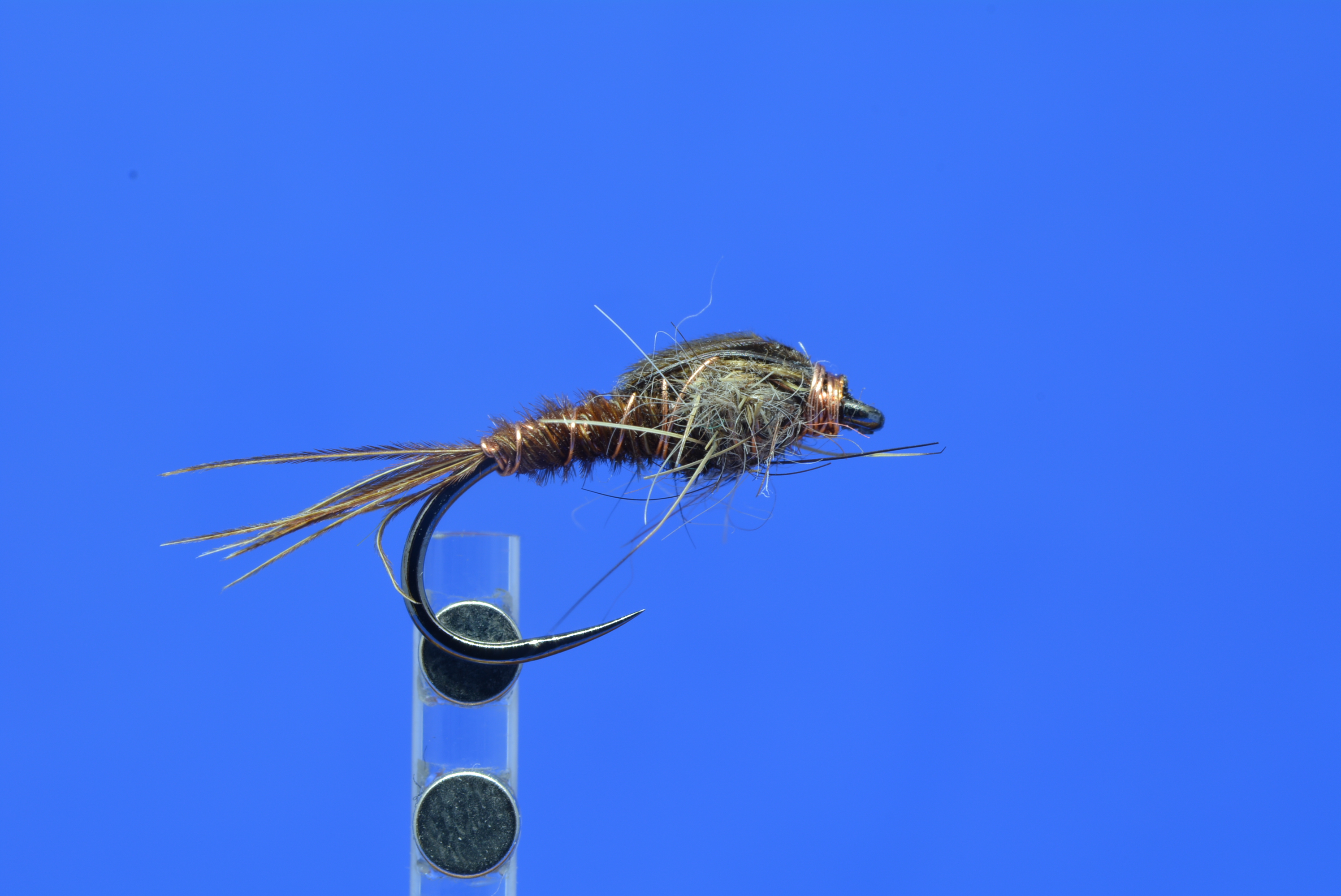 DSC_0089.JPG