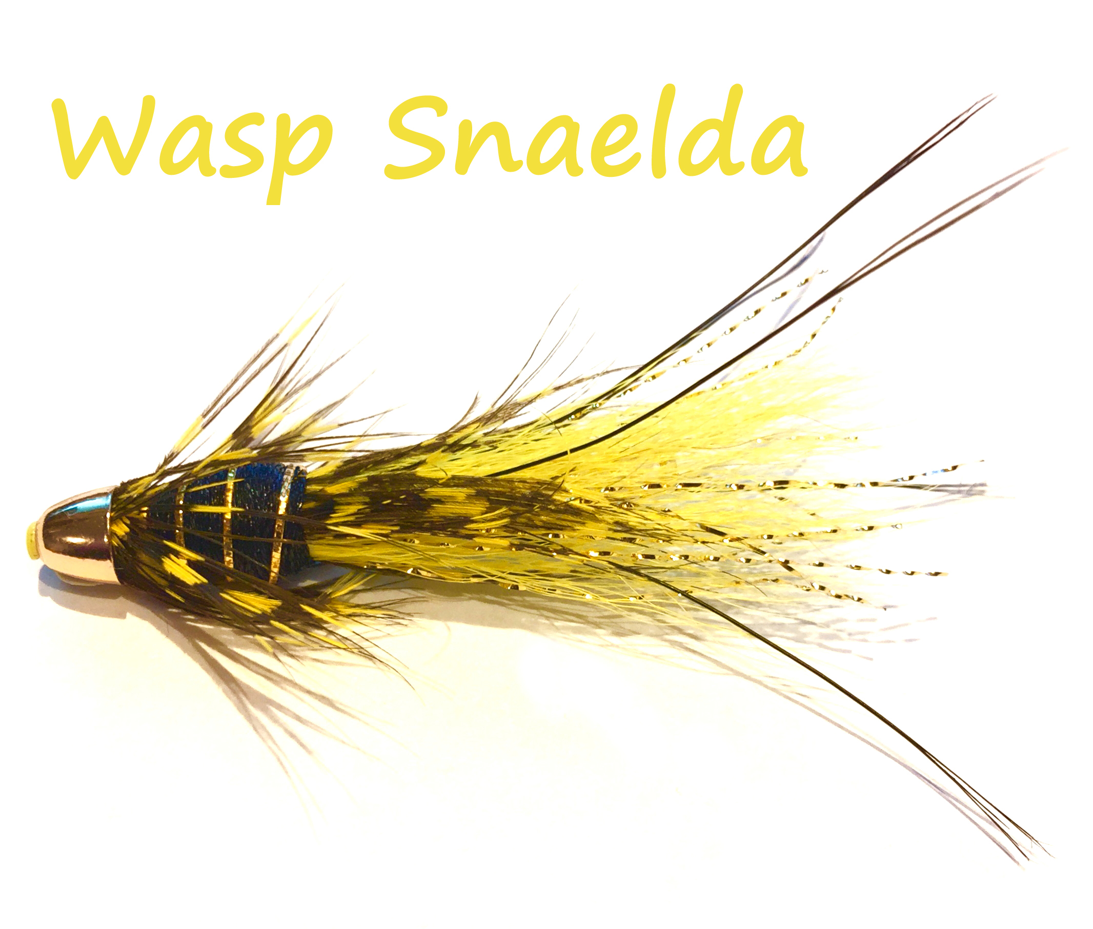 Wasp Snaelda FDG.jpg