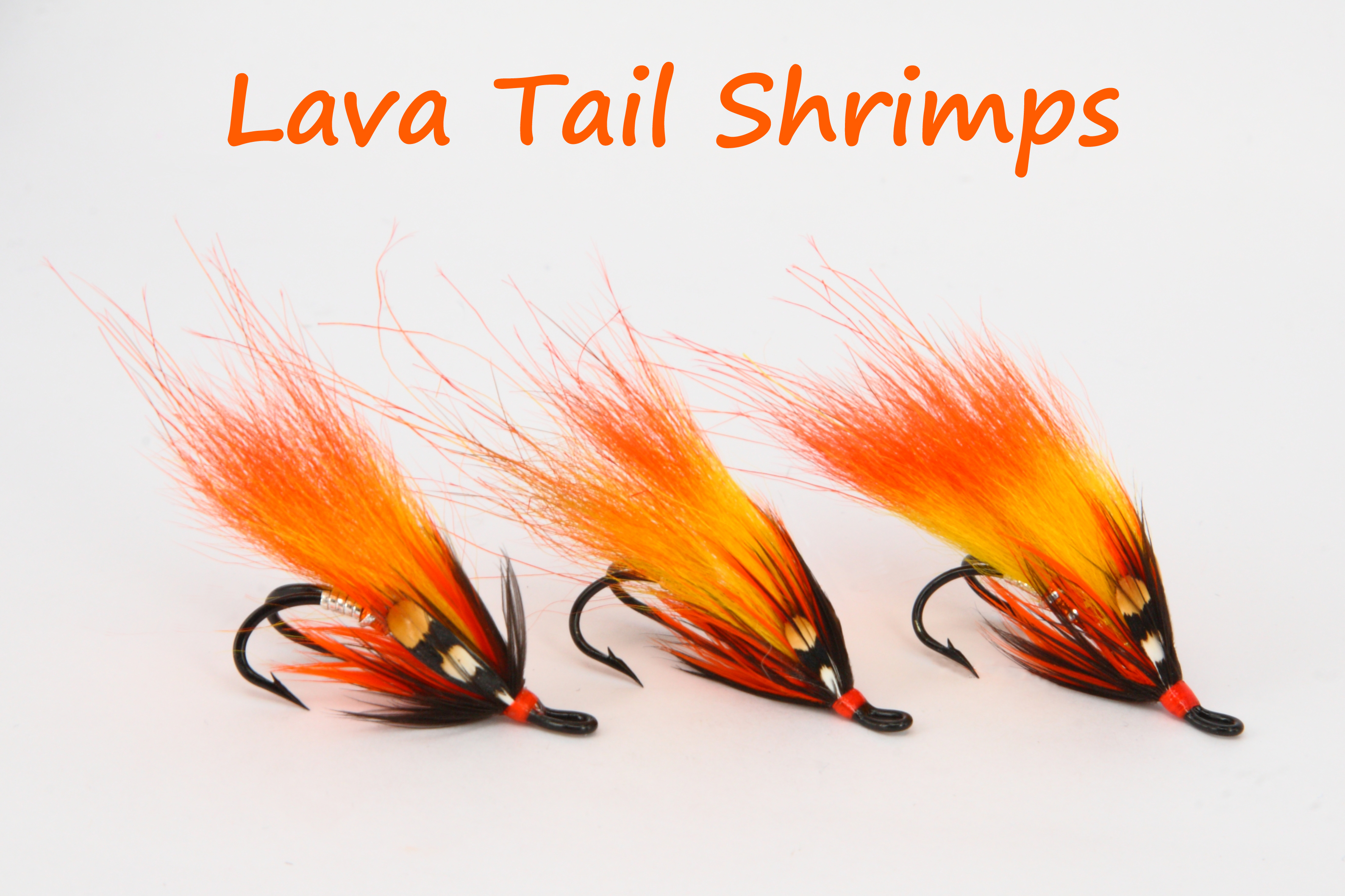 Lava Tail Shrimps Trio copy.jpg