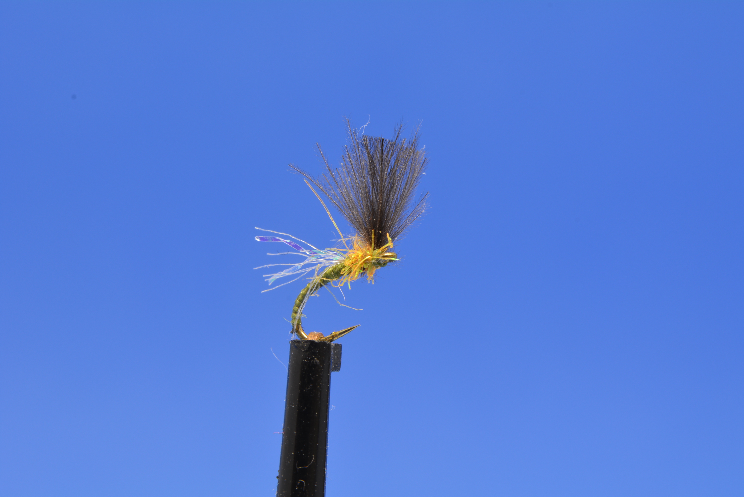 DSC_0066.JPG