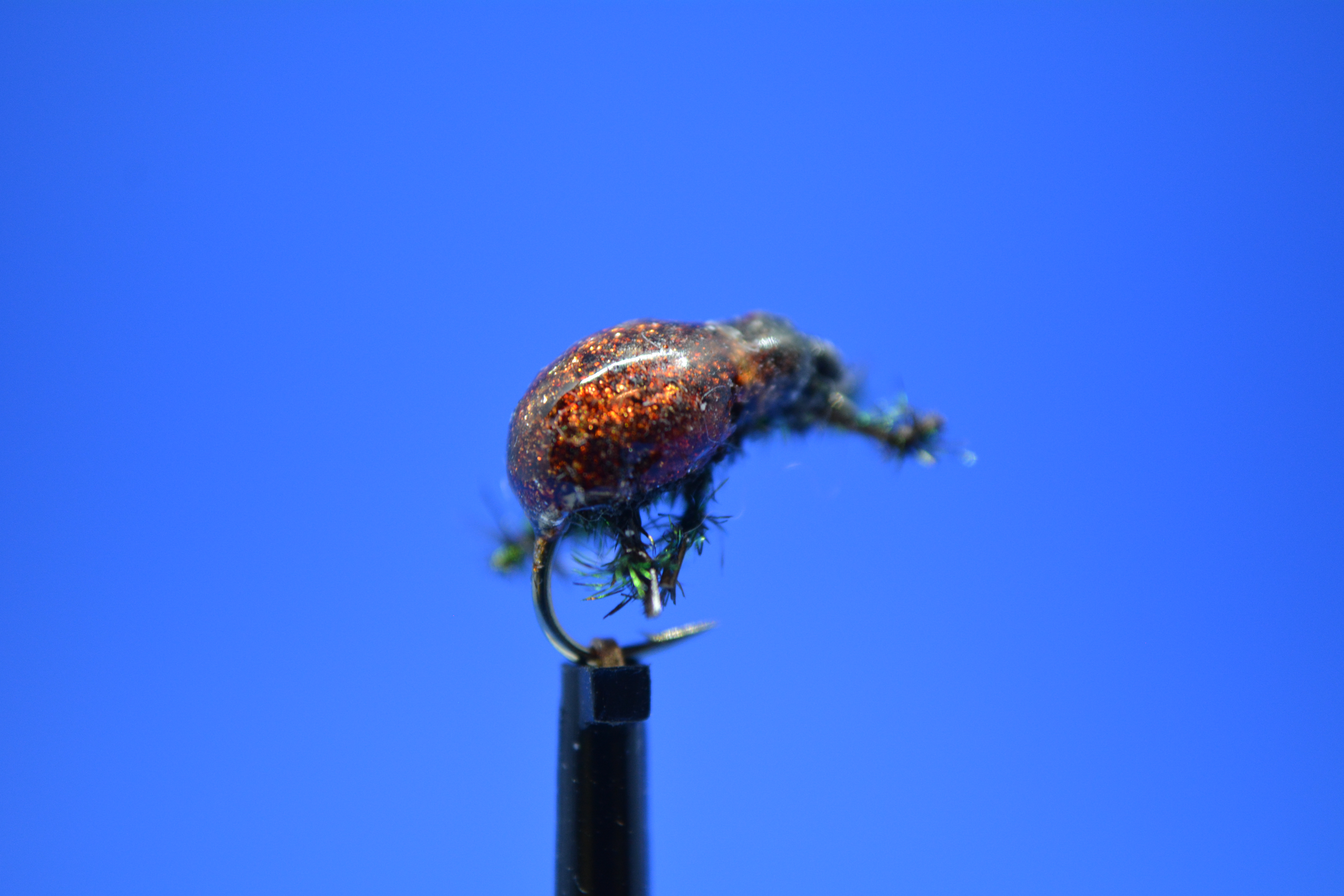 Beetle 2.JPG