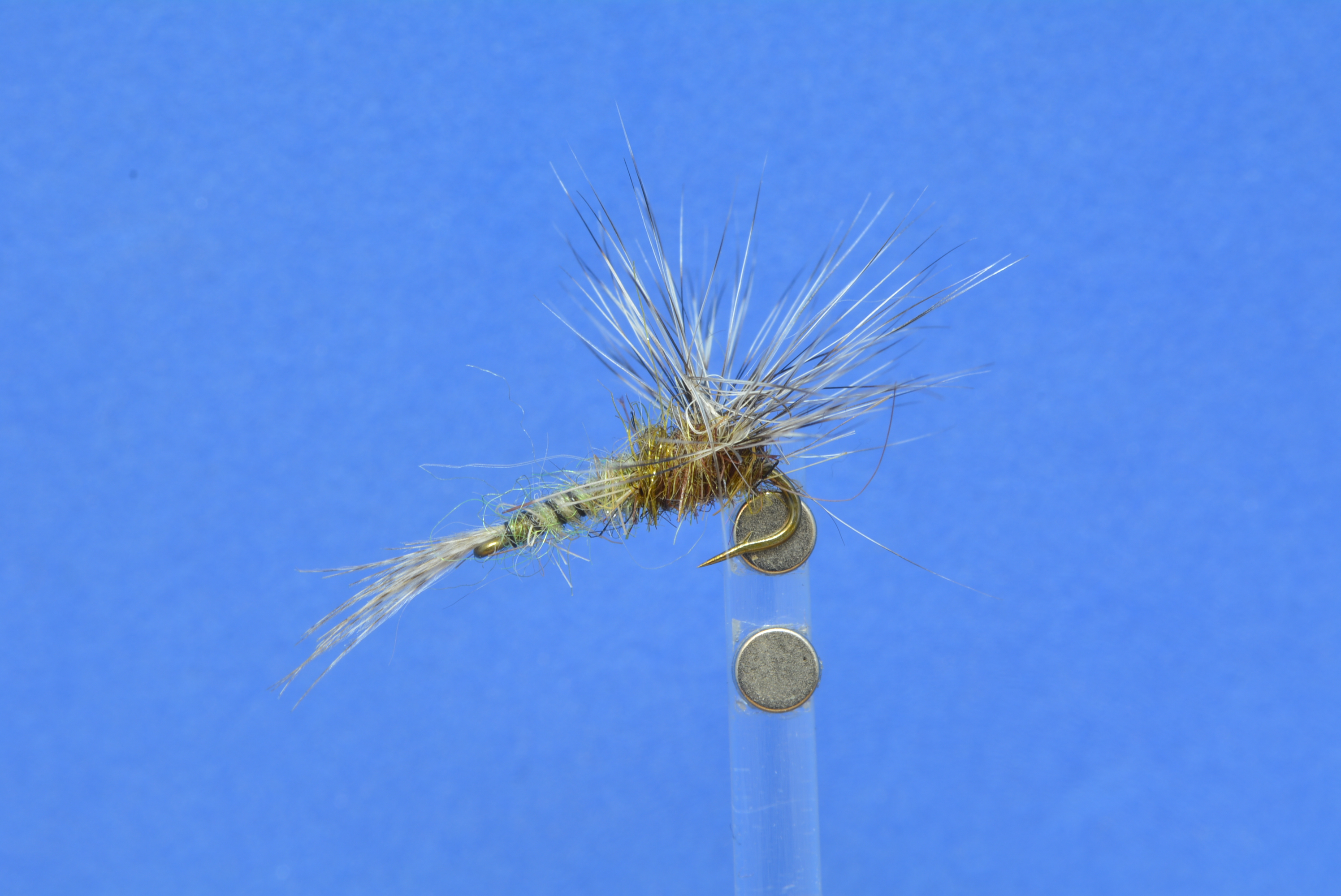 DSC_0153.JPG