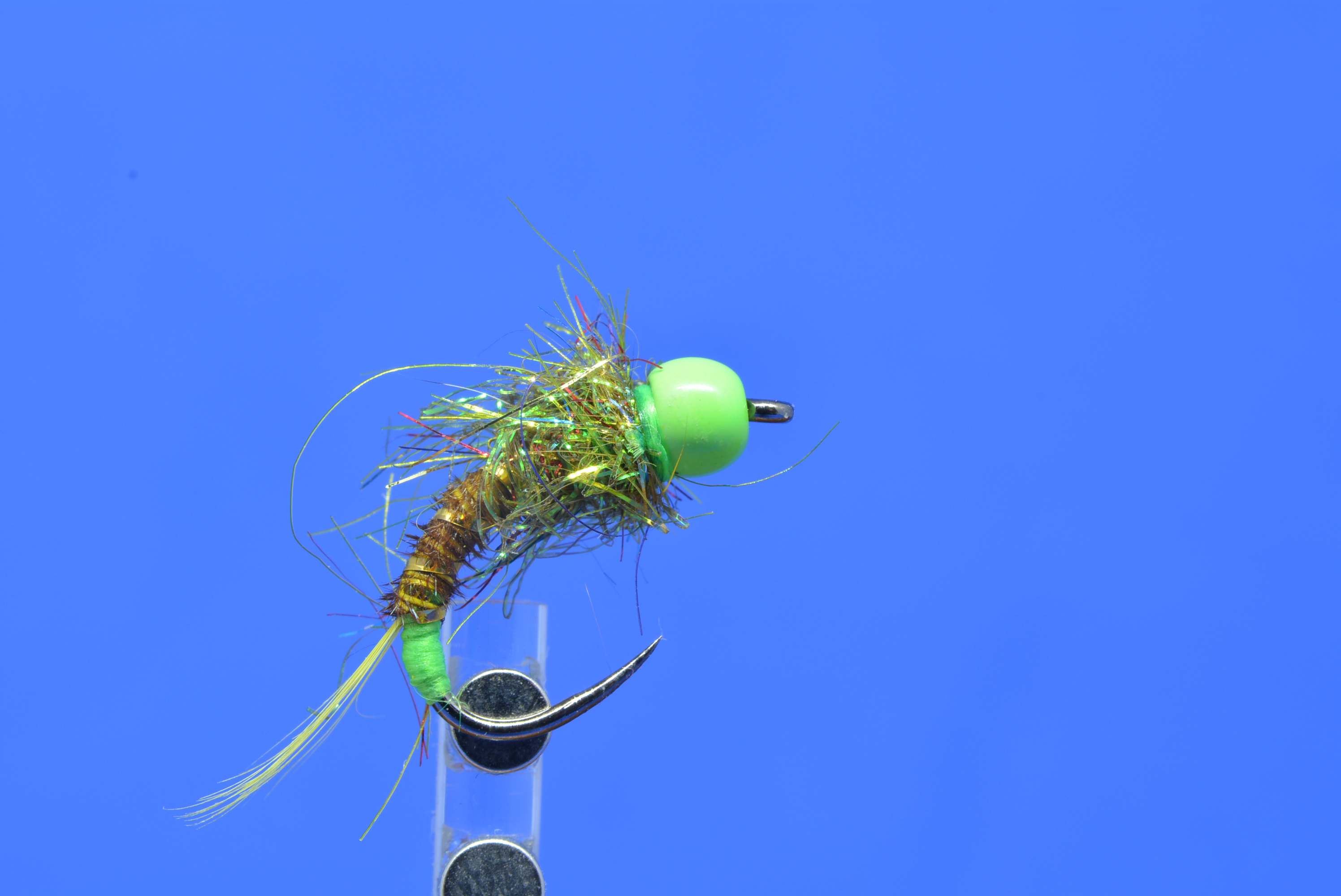 DSC_0094.JPG