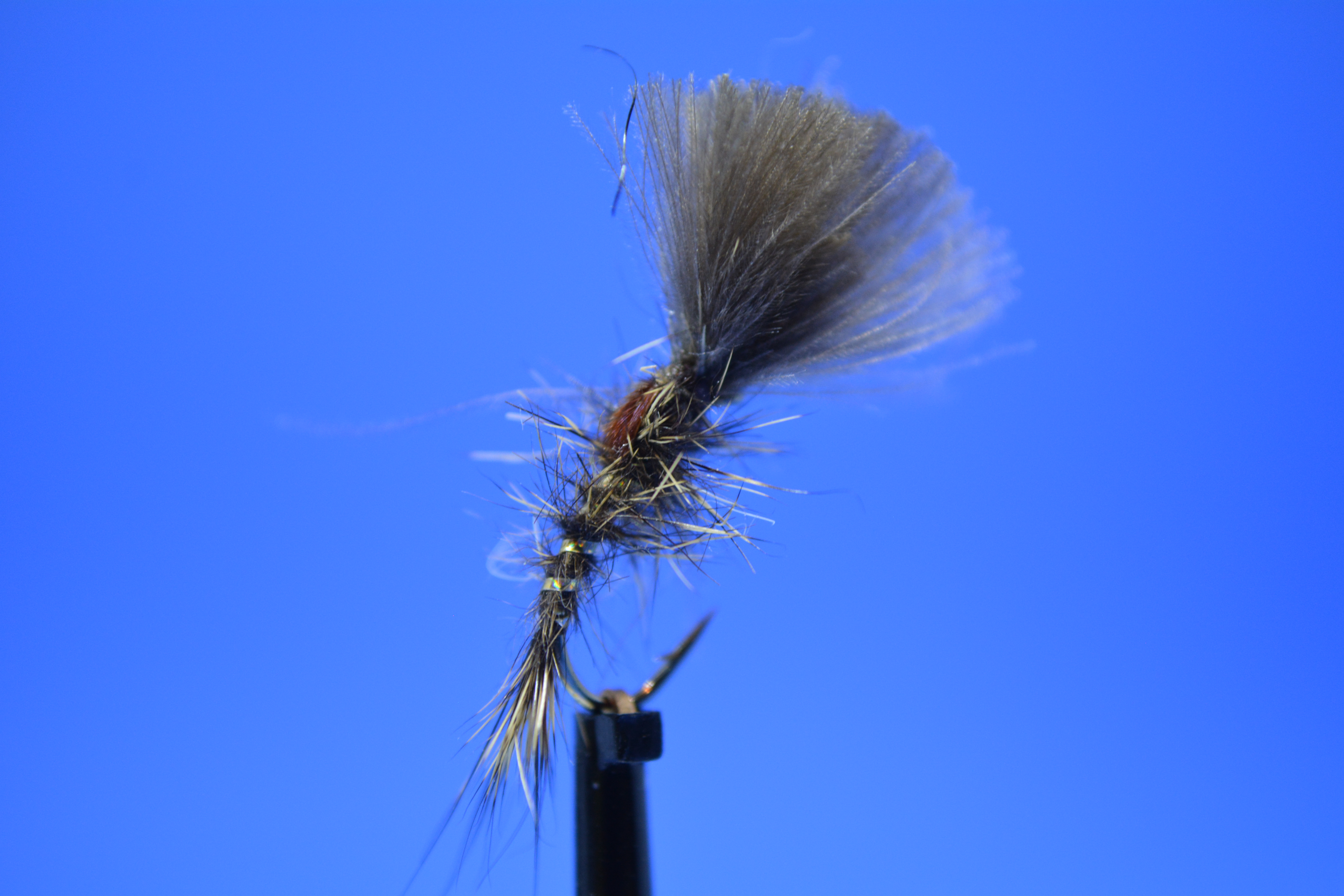 CDC Shuttlecock Hare's Ear 1.JPG