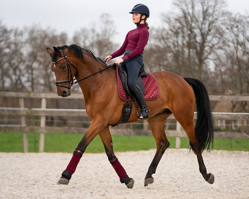 Thumbnail: QHP FLEECE BANDAGES BRILLIANCE