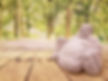 Buddha Garden Accent