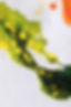 paul-blenkhorn painting in green,, yellow and orange on a white canvas textured background. The paint appears to be dripping down the page from top left to bottom right as if it were pooling on the surface of water.