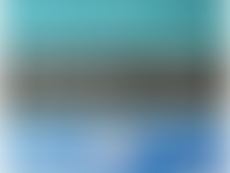 Mentoring and Systemic Team Development.