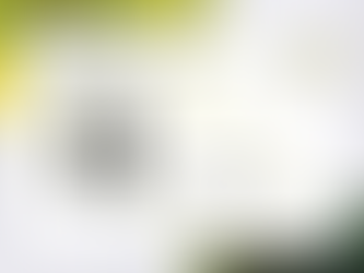 H is for Holding: Containment in Complexity. 