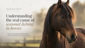 Why Some Horses Still Itch Despite “Doing Everything Right”