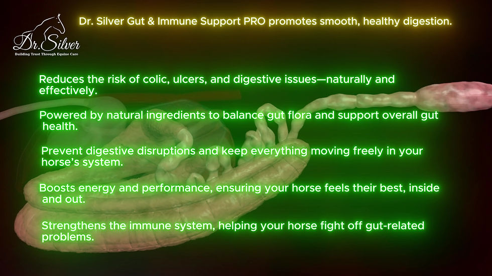 Thumbnail: Dr silver gut & immune support pro