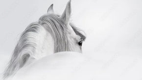 🌬️ Breathe Easier: How the Gut–Lung–Immune Axis Impacts Your Horse’s Respiratory Health