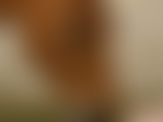 🧄 Garlic for Horses: Understanding the Facts, Not the Myths