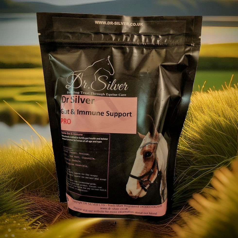 Gut and Immune supplement for horses and ponies
