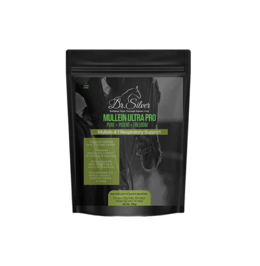 Mullein extract powder for horses
