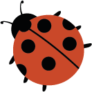 coccinelle.png