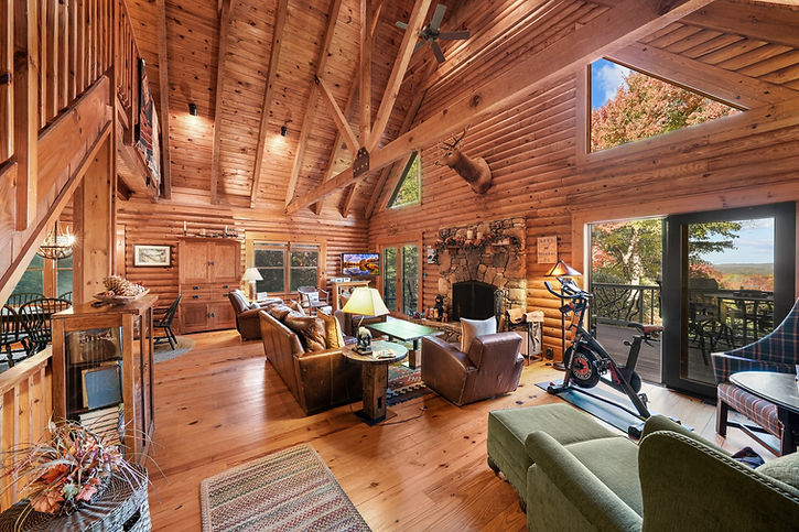 8-print-Kantner Kabin - Tampa Listing Lab 2 copy.jpg
