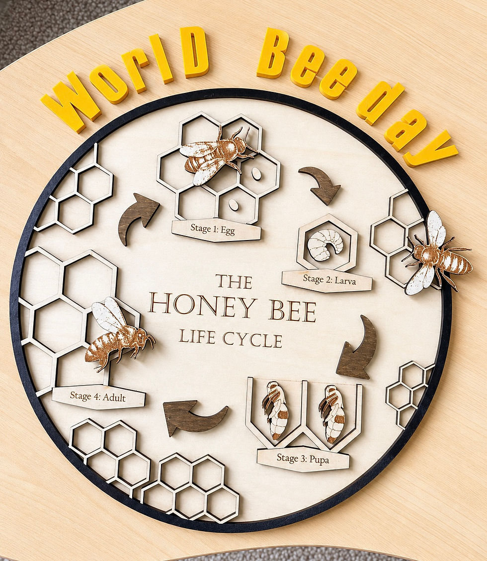 Thumbnail: Bee-Themed Sensory Play Set | World Bee Day Activity Kit | Montessori Bee Tray 