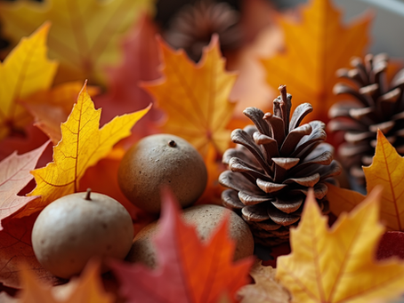 Seasonal Sensory Bin Kits for Kids: A Fun Way to Learn and Explore