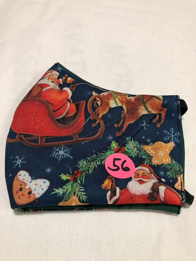 Santa and his sleigh