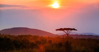 Africa at Long Last