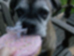 Emmie