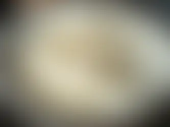 Global rice shortage is set to be the biggest in 20 years