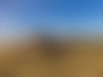 War With Iran Puts Further Strain on America’s Pessimistic Farmers