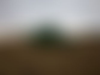 How Farmers Are Teaching Old Tractors to Think for Themselves