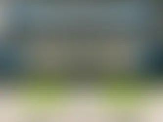 Vertical Farms Tried to Compete With Open Field Farming. It Isn’t Going Well.