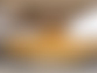 Airlines Race Toward a Future of Powering Their Jets With Corn