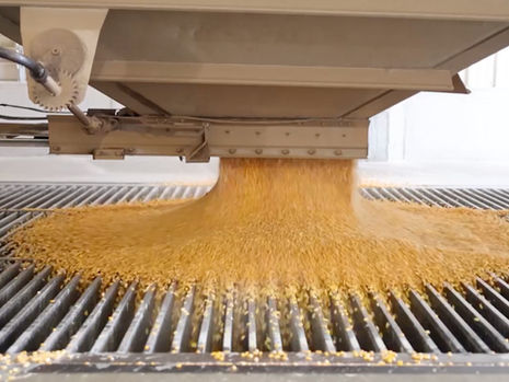 Airlines Race Toward a Future of Powering Their Jets With Corn