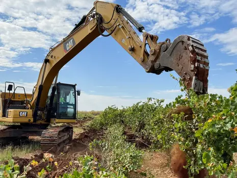 Australian farmers rip out millions of vines amid wine glut