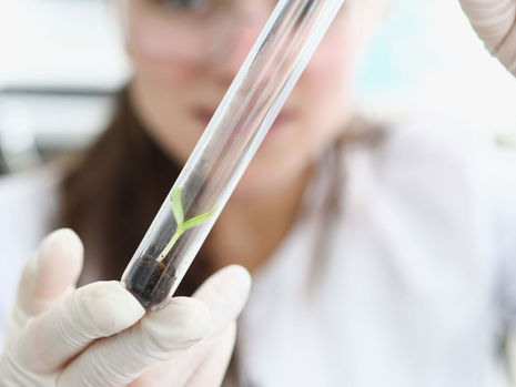 Soil Survivor: Using Nanotech for Regenerative Agriculture