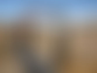 TPG Taps Montag for Ambitious Carbon-Credit Effort