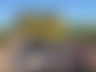 Citrus greening has entered key lemon growing region in California–8,600 acres of citrus quarantined