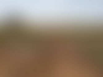 Food Companies Look to Measure How Soil Captures Carbon