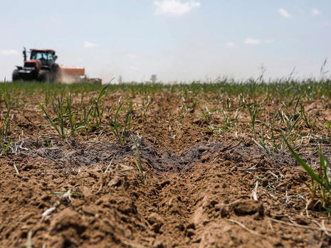 Food Companies Look to Measure How Soil Captures Carbon