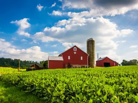 WALMART AND GENERAL MILLS TEAM UP ON REMARKABLE PROJECT USING 600,000 ACRES OF FARMLAND — HERE’S WHAT THEY’RE PLANNING TO DO