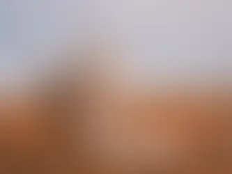 How Climate Change Is Making Tampons (and Lots of Other Stuff) More Expensive