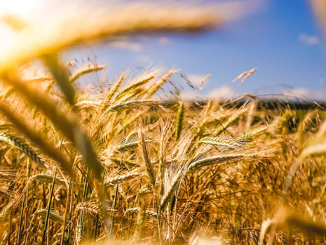 This New Marketplace Aims to Encourage Farmers to Adopt Sustainable Practices