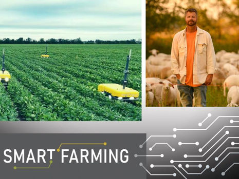 Swarm To The Future? Mini Farm Robots With Big Plans