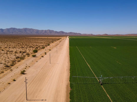 Arizona governor moves to end Saudi-owned farm’s controversial leases