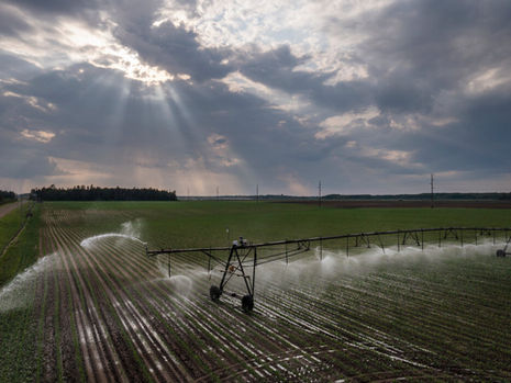 Big Farms and Flawless Fries Are Gulping Water in the Land of 10,000 Lakes
