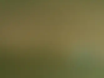 Arizona Is in a Race to the Bottom of Its Water Wells, With Saudi Arabia’s Help