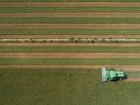 Arizona Is in a Race to the Bottom of Its Water Wells, With Saudi Arabia’s Help